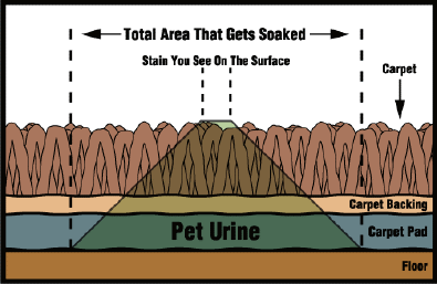 A cross-section diagram illustrating how a liquid spill affects a carpet and its padding. The graphic shows five horizontal layers: a floor base, blue carpet pad, tan carpet backing, and a brown carpet surface pile. A green-tinted area, labeled with vertical dashed lines as the 'Liquid Spill on Surface,' appears as a small spot. This green-tinted saturated area dramatically expands into a broad triangle as it penetrates the carpet backing and carpet pad. Long double-headed arrows span the width of the soaked pad and backing, labeled 'Total Area That Gets Soaked,' visually contrasting the large area of contamination below the surface with the much smaller visible spill above