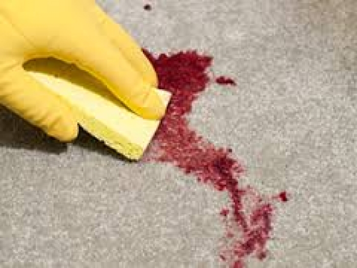 Carpet cleaning professional treating a stain on a carpet in a Boston home