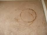 Professional carpet cleaning for rust stain removal on a natural fiber carpet