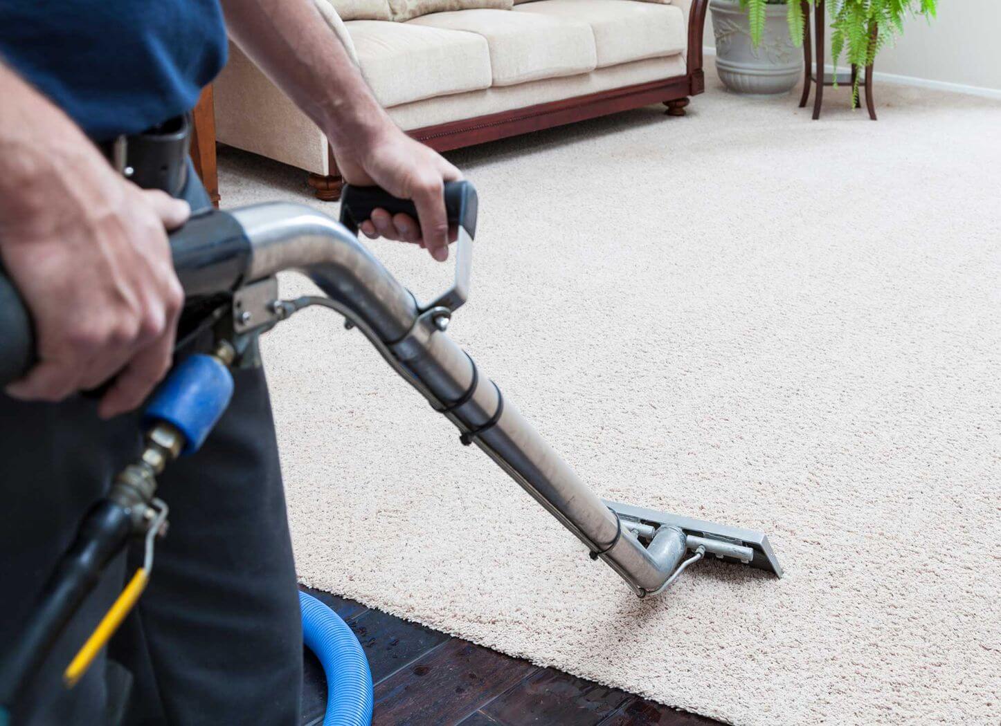 Professional carpet cleaning using hot water extraction.