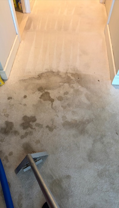 Heavily soiled carpet before professional cleaning